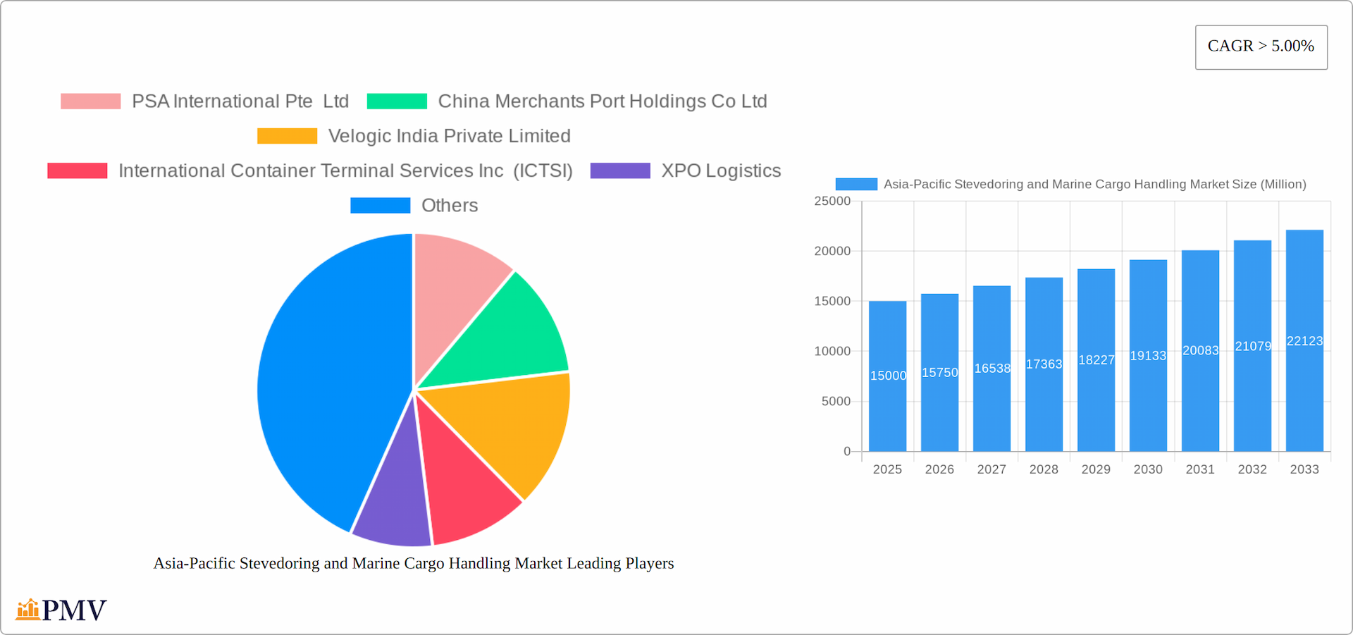 Asia-Pacific Stevedoring and Marine Cargo Handling Market Research Report - Market Overview and Key Insights