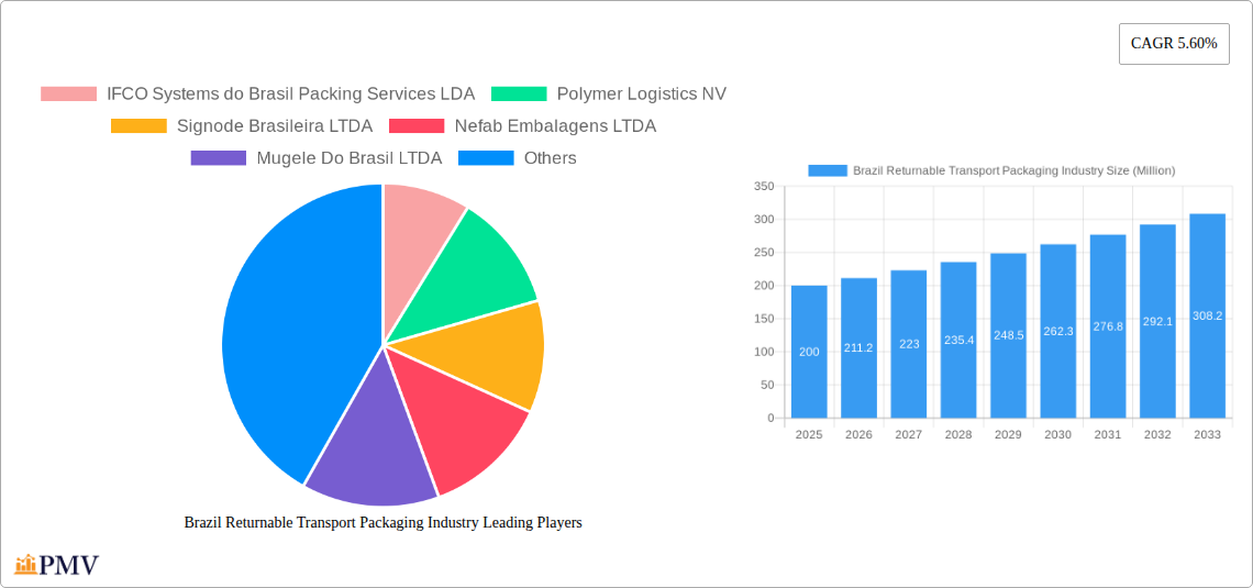 Brazil Returnable Transport Packaging Industry Research Report - Market Overview and Key Insights
