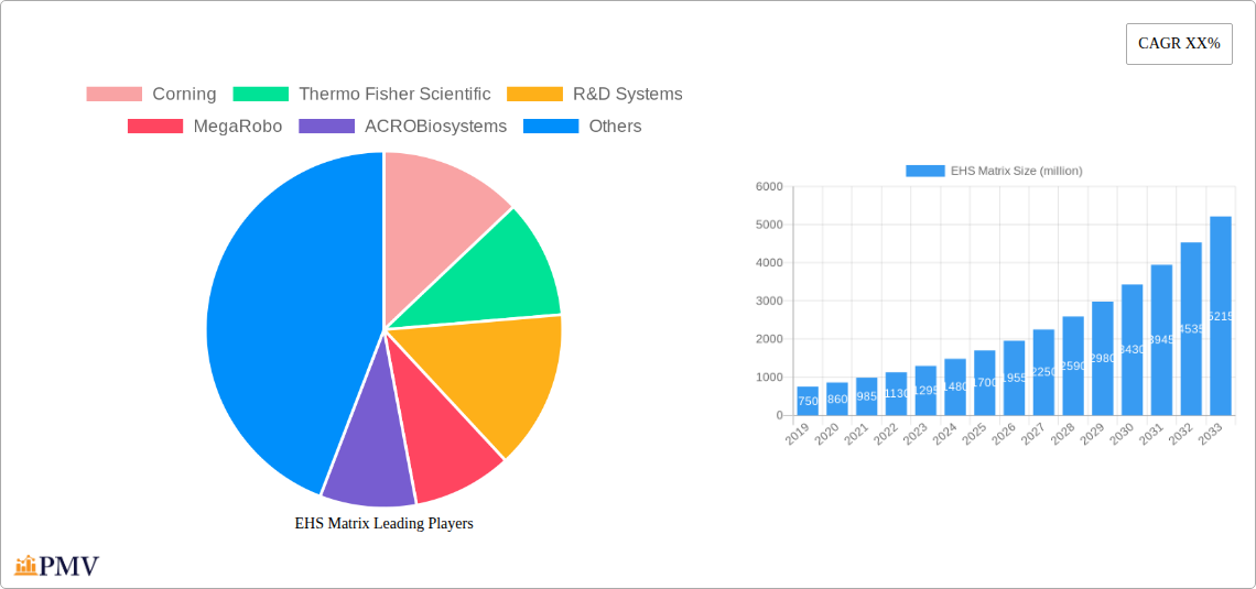 EHS Matrix Research Report - Market Overview and Key Insights