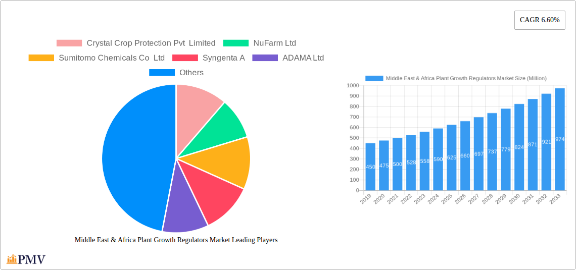 Middle East & Africa Plant Growth Regulators Market Research Report - Market Overview and Key Insights