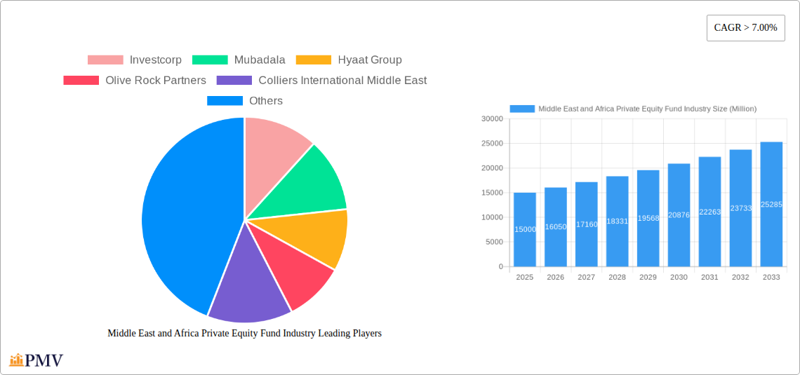 Middle East and Africa Private Equity Fund Industry Research Report - Market Overview and Key Insights