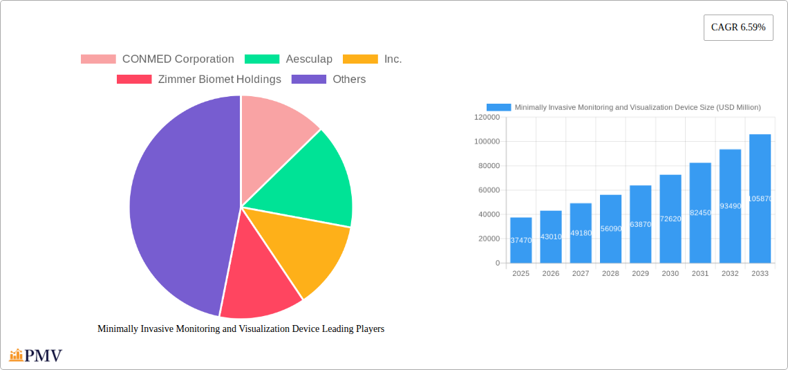 Minimally Invasive Monitoring and Visualization Device Research Report - Market Overview and Key Insights