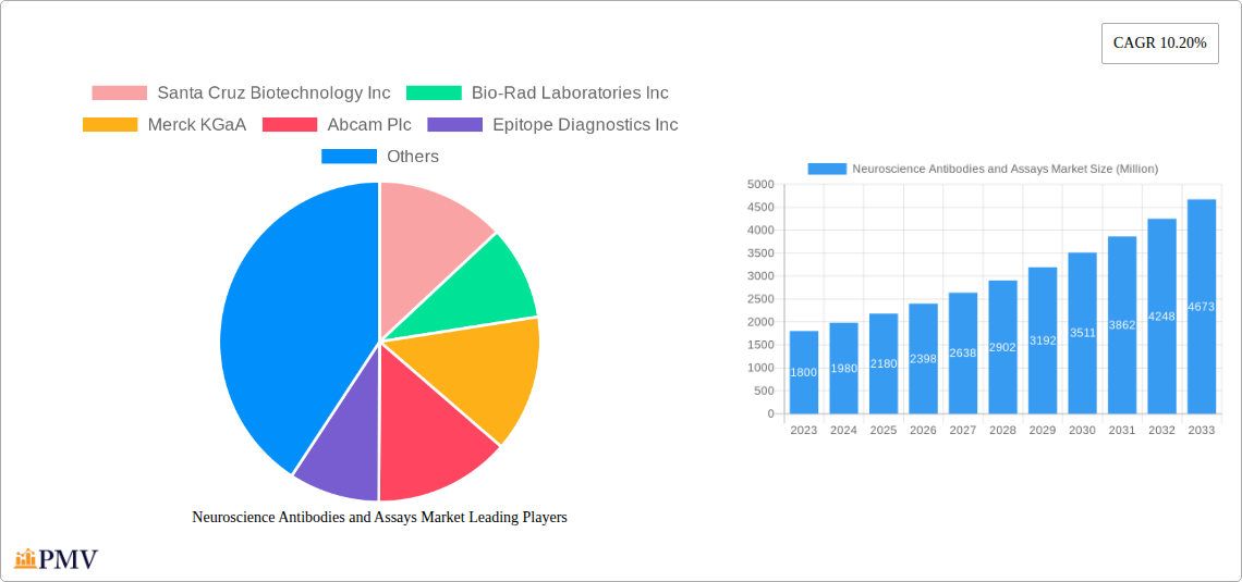 Neuroscience Antibodies and Assays Market Research Report - Market Overview and Key Insights