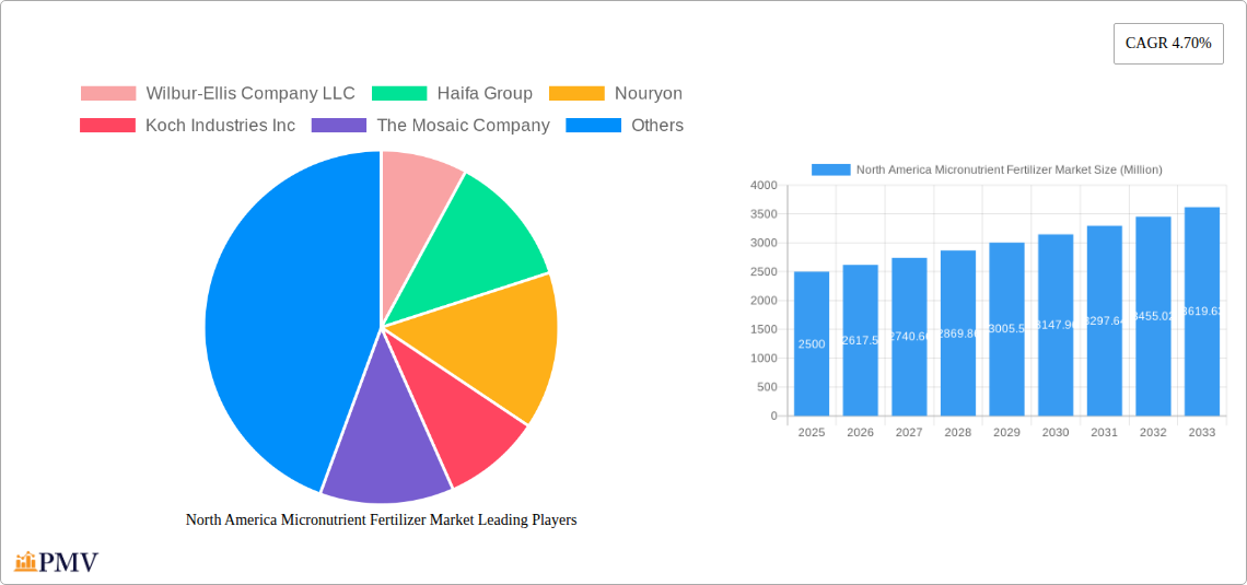 North America Micronutrient Fertilizer Market Research Report - Market Overview and Key Insights