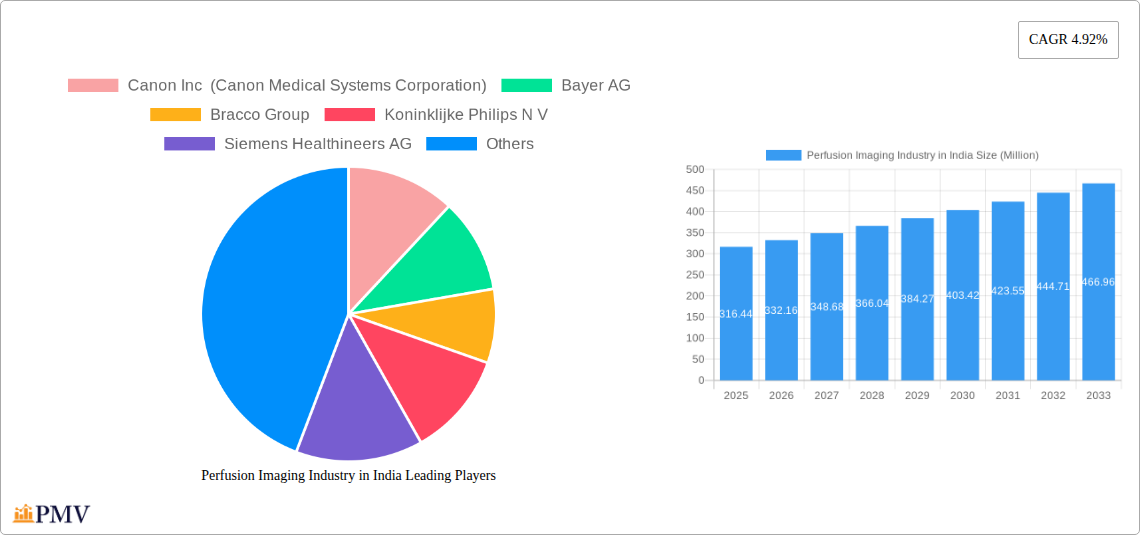 Perfusion Imaging Industry in India Research Report - Market Overview and Key Insights