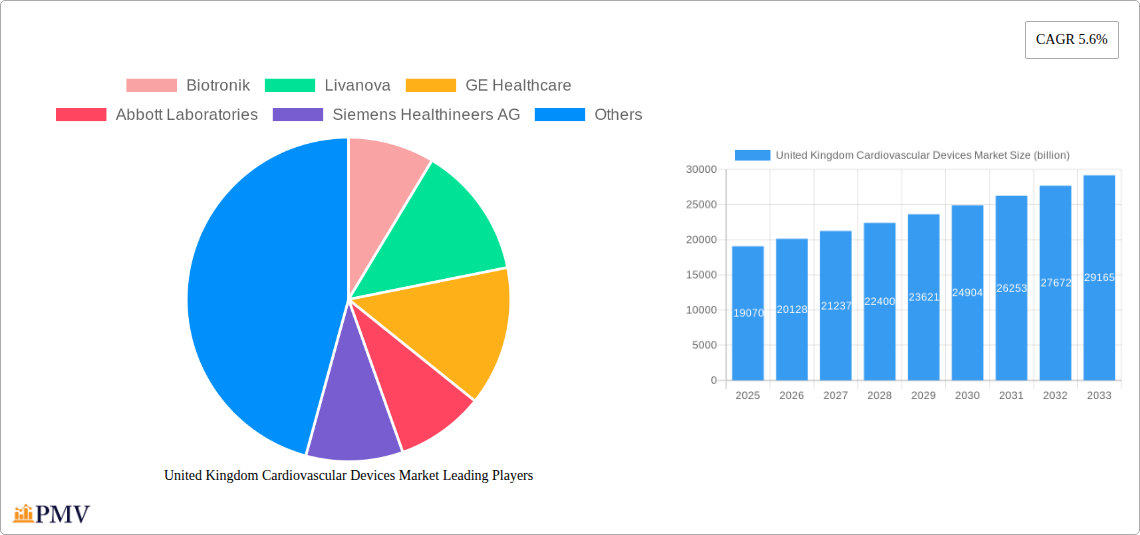 United Kingdom Cardiovascular Devices Market Research Report - Market Overview and Key Insights