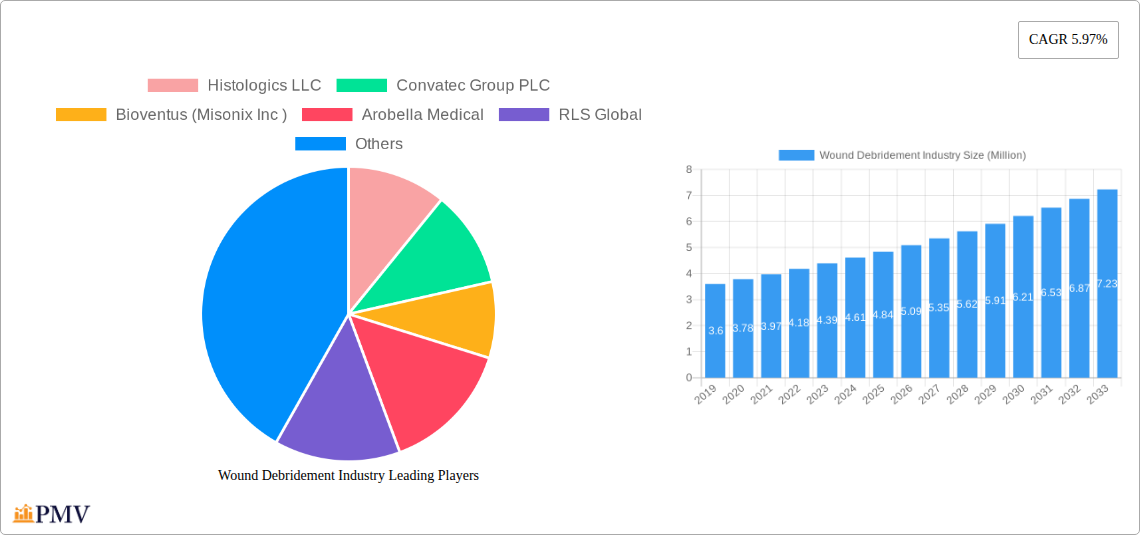 Wound Debridement Industry Research Report - Market Overview and Key Insights