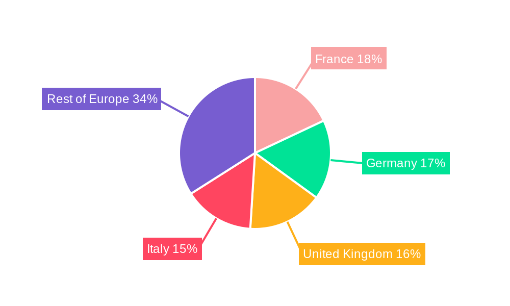 Europe Museums, Historical Sites, Zoos, And Parks Market Share by Region - Global Geographic Distribution