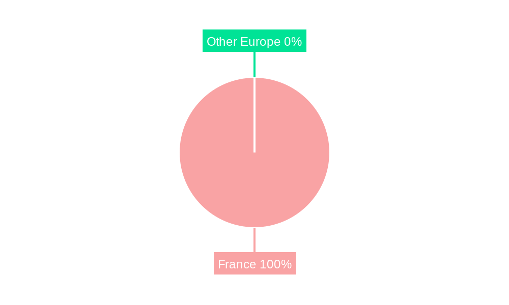 France Automotive Parts Magnesium Die Casting Market Market Share by Region - Global Geographic Distribution