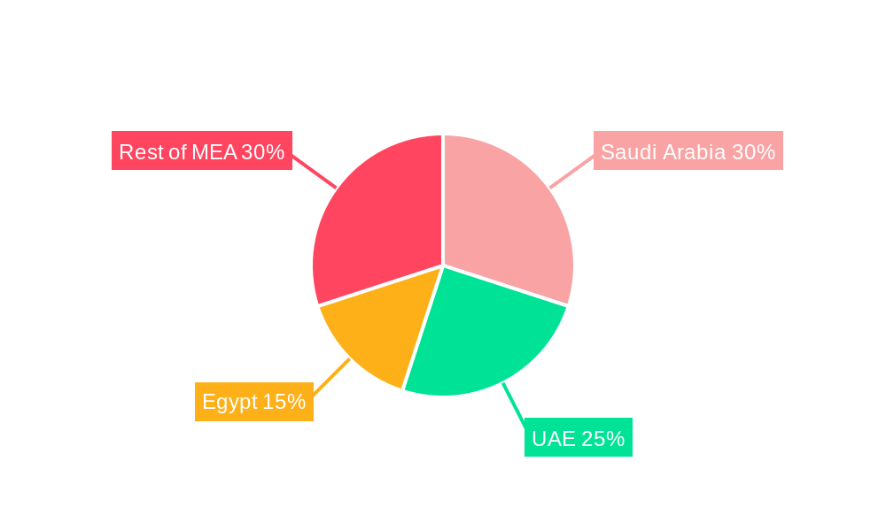 Middle East and Africa Active and Intelligent Packaging Market Market Share by Region - Global Geographic Distribution
