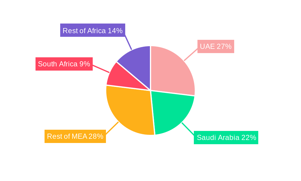 Middle East and Africa Protective Packaging Market Market Share by Region - Global Geographic Distribution
