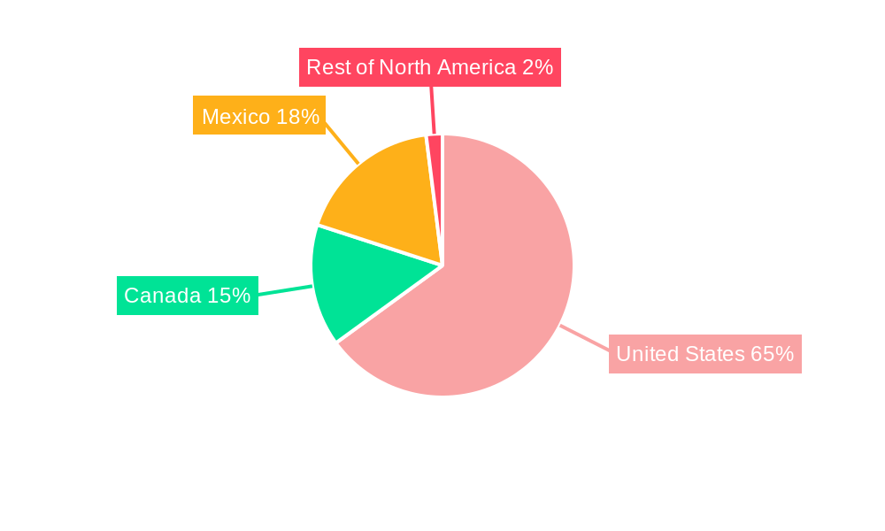 North America Automotive Metal Finishing Industry Market Share by Region - Global Geographic Distribution