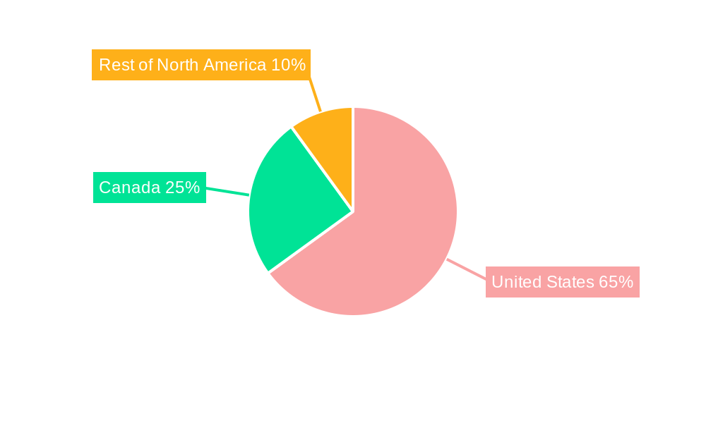 North America Lithium-ion Battery Market Market Share by Region - Global Geographic Distribution