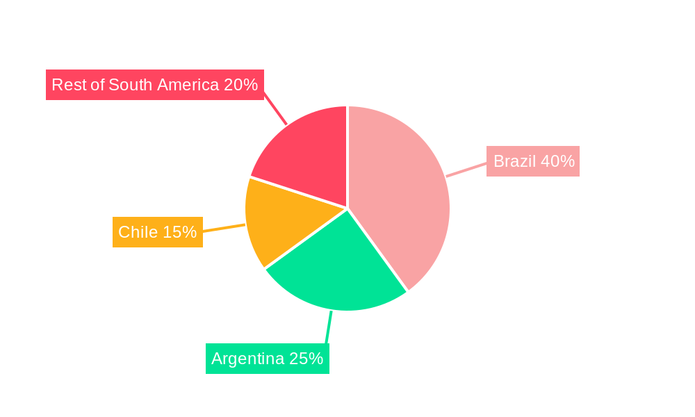 South America Battery Energy Storage System Market Market Share by Region - Global Geographic Distribution