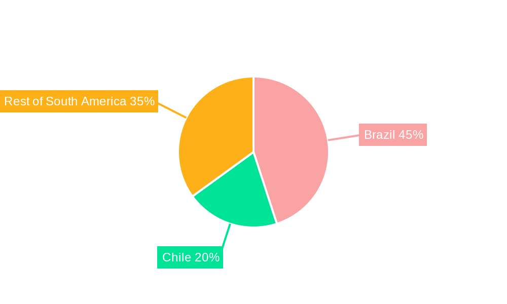 South America Data Center Construction Market Market Share by Region - Global Geographic Distribution