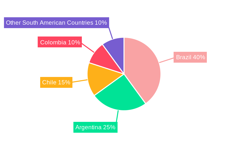 South America Lithium-ion Battery For Electric Vehicle Market Market Share by Region - Global Geographic Distribution