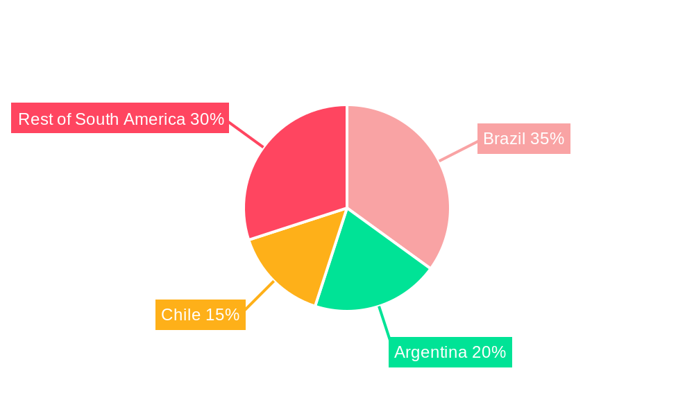 South America Portable Generator Market Market Share by Region - Global Geographic Distribution