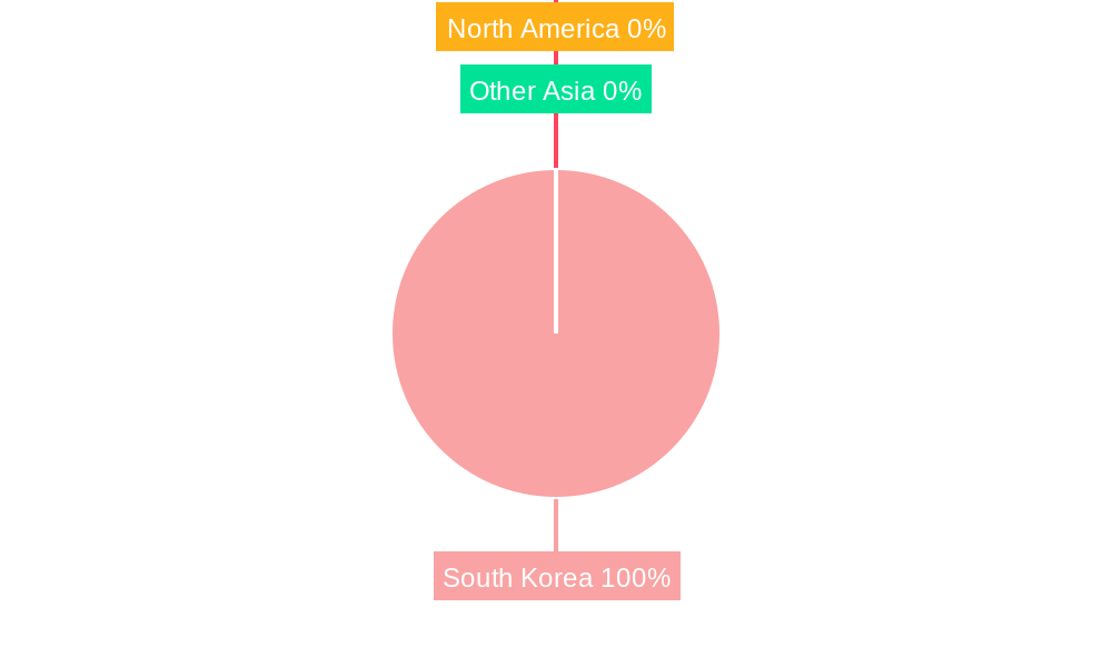 South Korea Analog Integrated Circuits Market Market Share by Region - Global Geographic Distribution