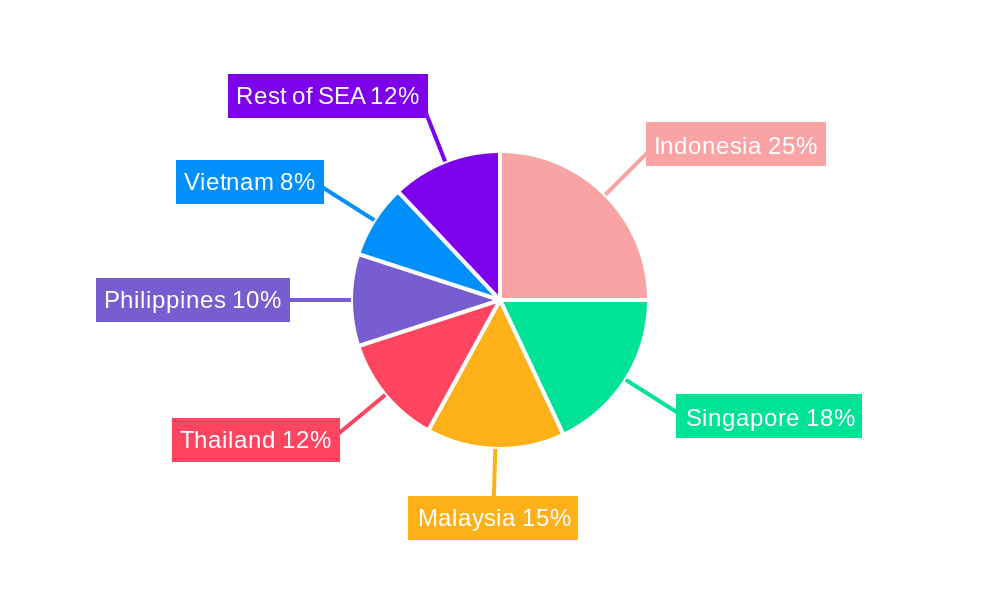 Southeast Asia Commercial Aircraft MRO Market Market Share by Region - Global Geographic Distribution