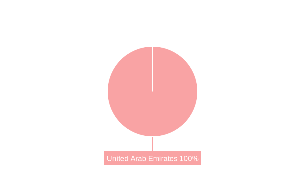 United Arab Emirates Mobile Payments Market Market Share by Region - Global Geographic Distribution