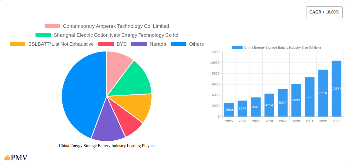 China Energy Storage Battery Industry Research Report - Market Overview and Key Insights