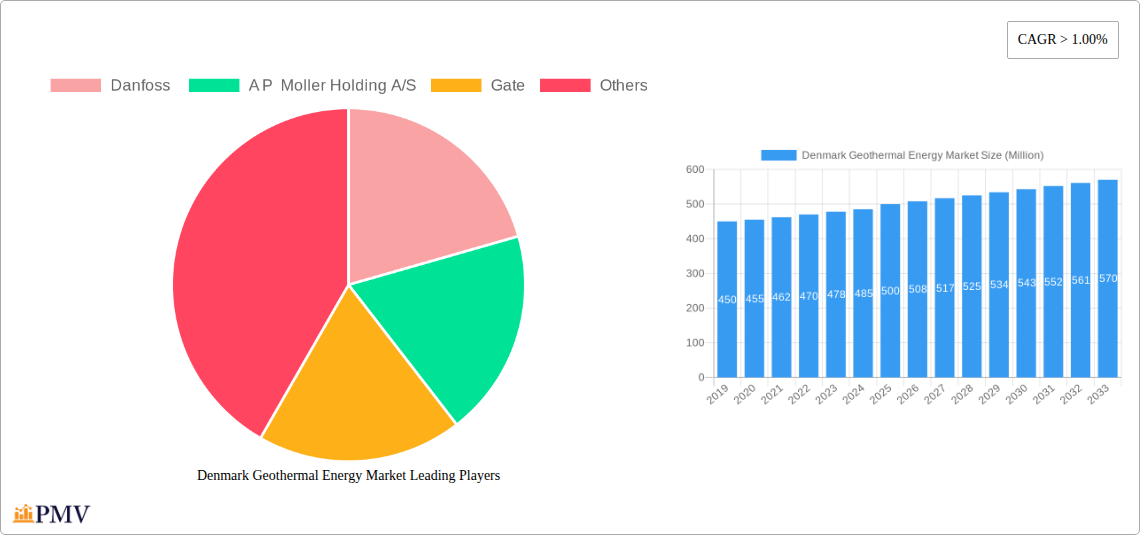 Denmark Geothermal Energy Market Research Report - Market Overview and Key Insights