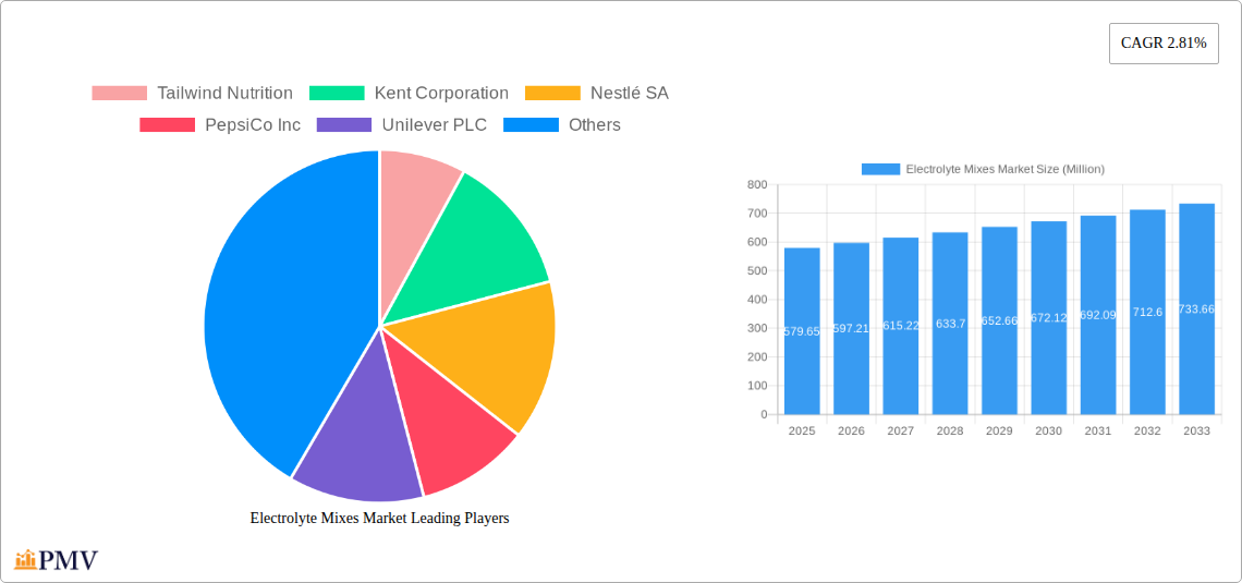 Electrolyte Mixes Market Research Report - Market Overview and Key Insights