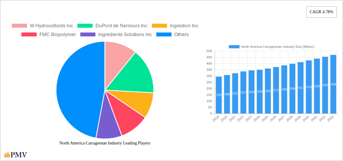 North America Carrageenan Industry Research Report - Market Overview and Key Insights