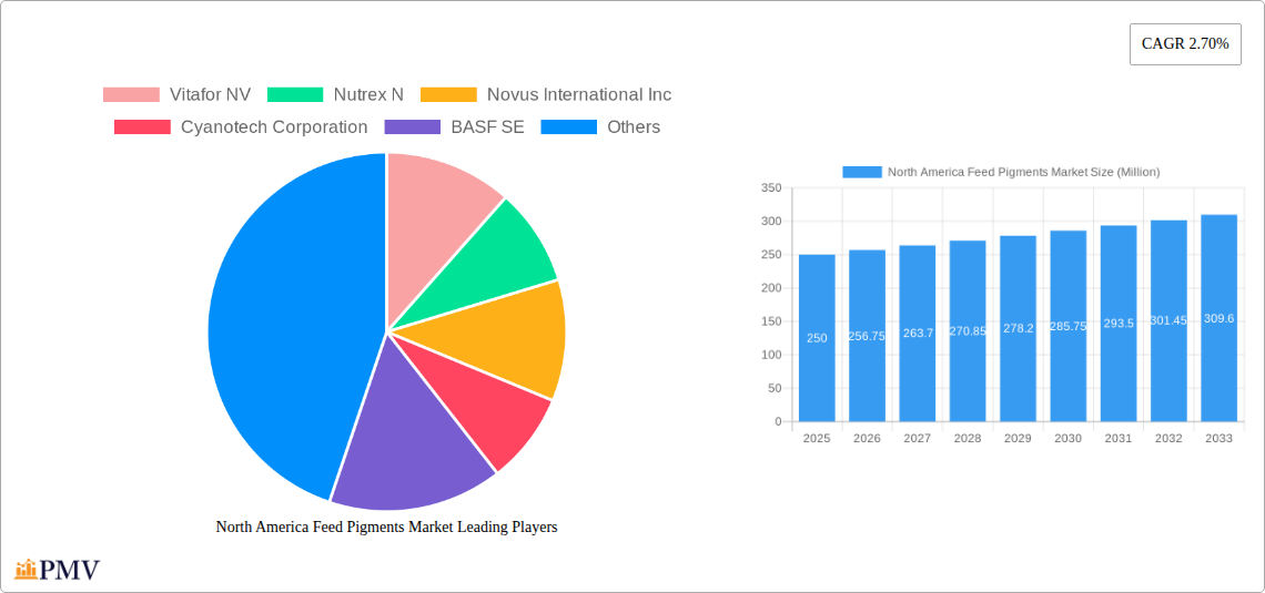 North America Feed Pigments Market Research Report - Market Overview and Key Insights