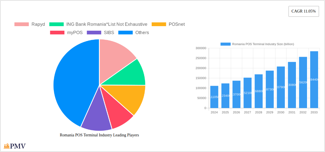 Romania POS Terminal Industry Research Report - Market Overview and Key Insights