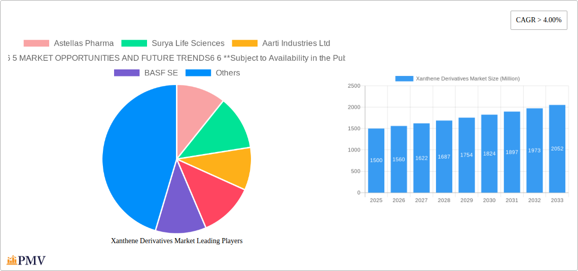 Xanthene Derivatives Market Research Report - Market Overview and Key Insights