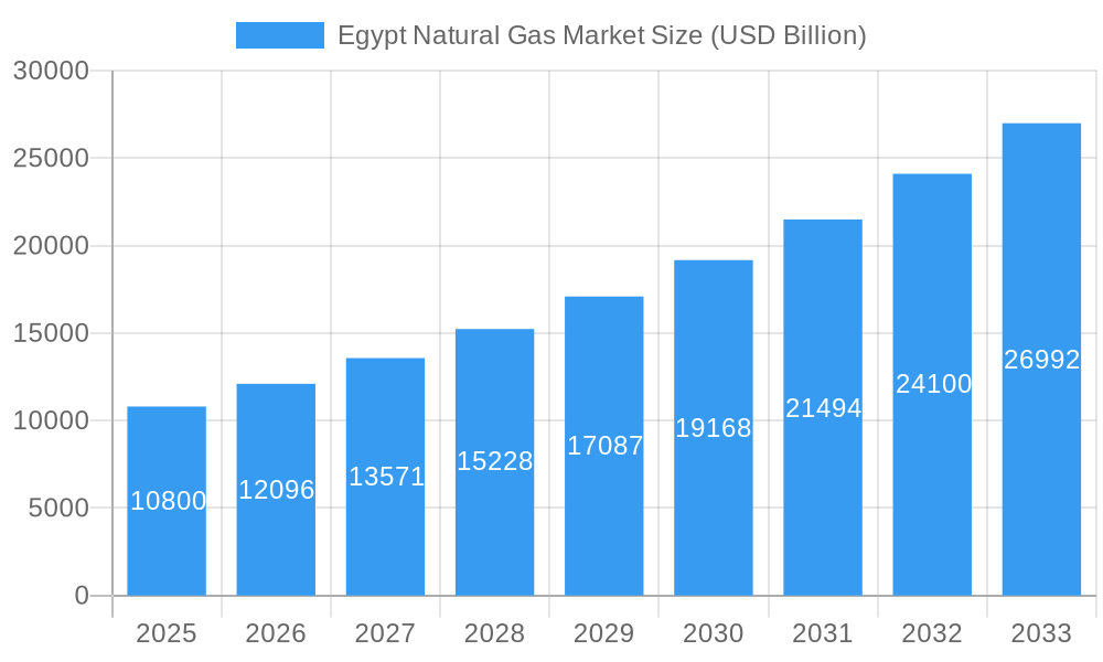 Egypt Natural Gas Market Market Size and Forecast (2024-2030)