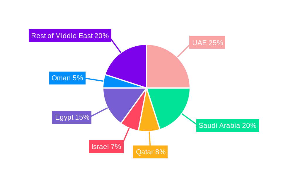 Middle East Aviation Market Market Share by Region - Global Geographic Distribution