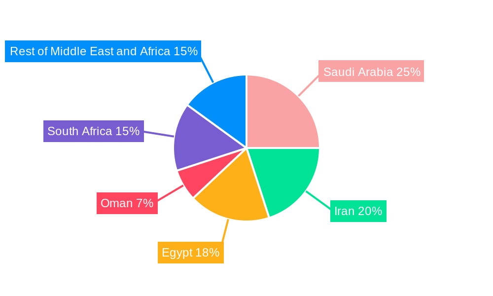 Middle East and Africa Insulin Pens Market Market Share by Region - Global Geographic Distribution