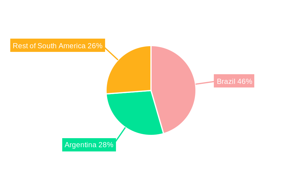 South America Energy Drinks Market Market Share by Region - Global Geographic Distribution