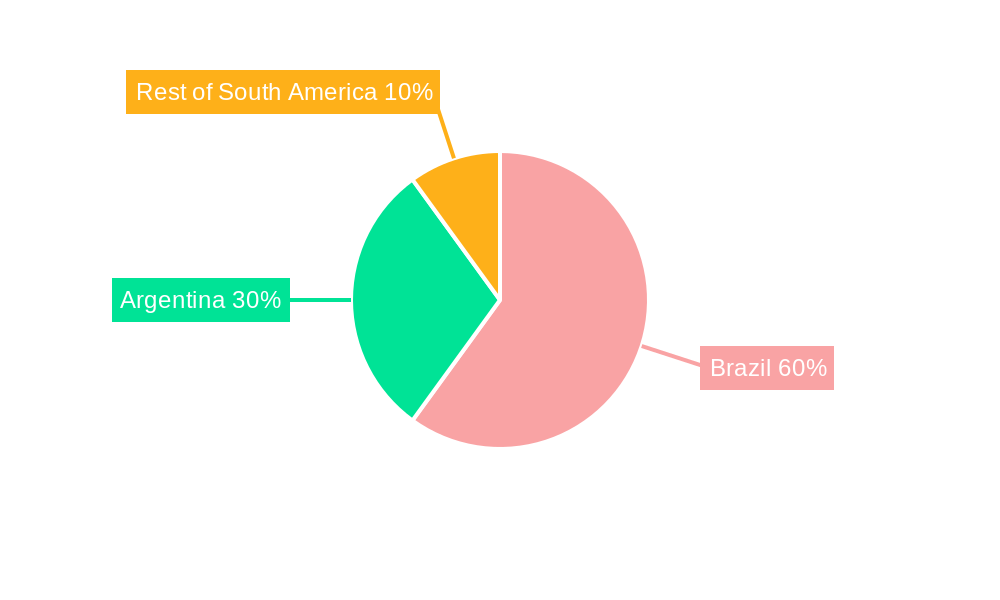 South America Feed Vitamins Market Market Share by Region - Global Geographic Distribution