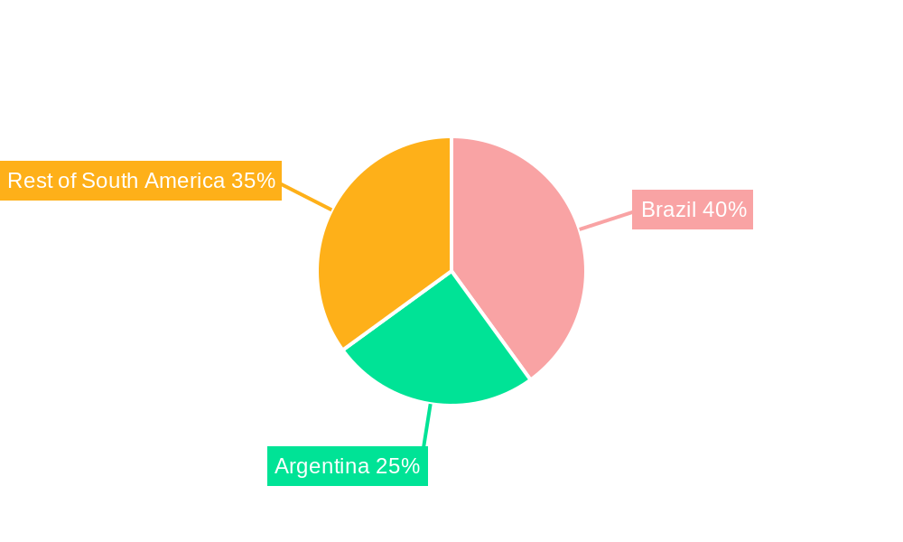 South America Organic Baby Food Market Market Share by Region - Global Geographic Distribution