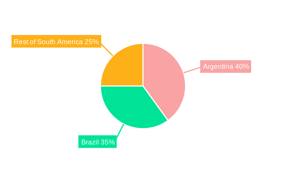 South America Wine Market Market Share by Region - Global Geographic Distribution