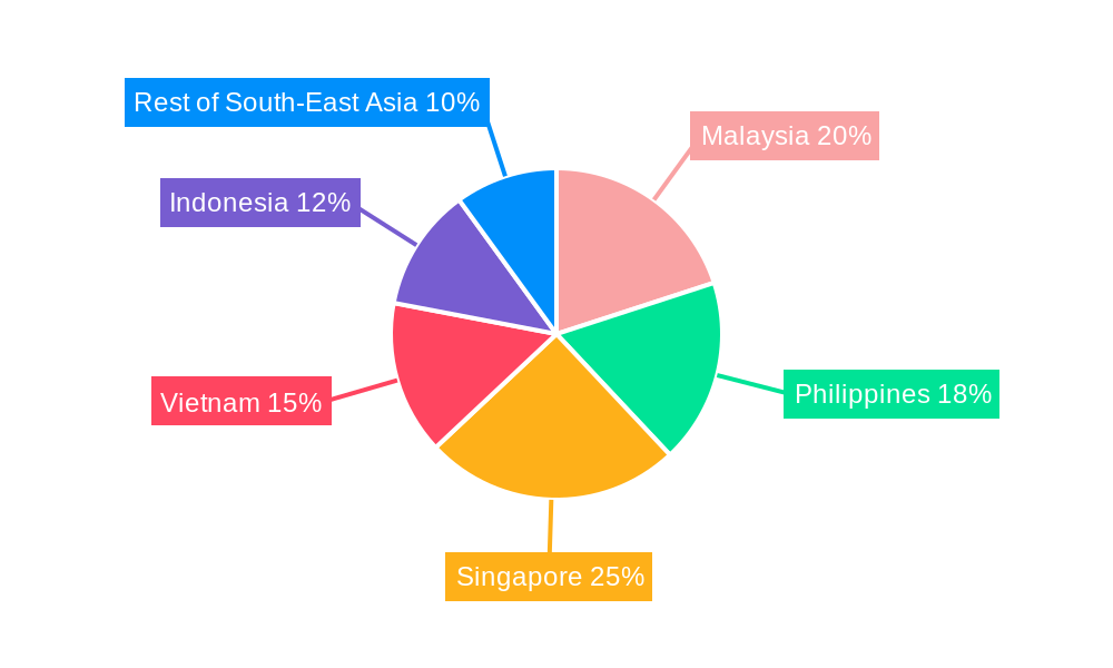 South-East Asia Aviation Infrastructure Market Market Share by Region - Global Geographic Distribution