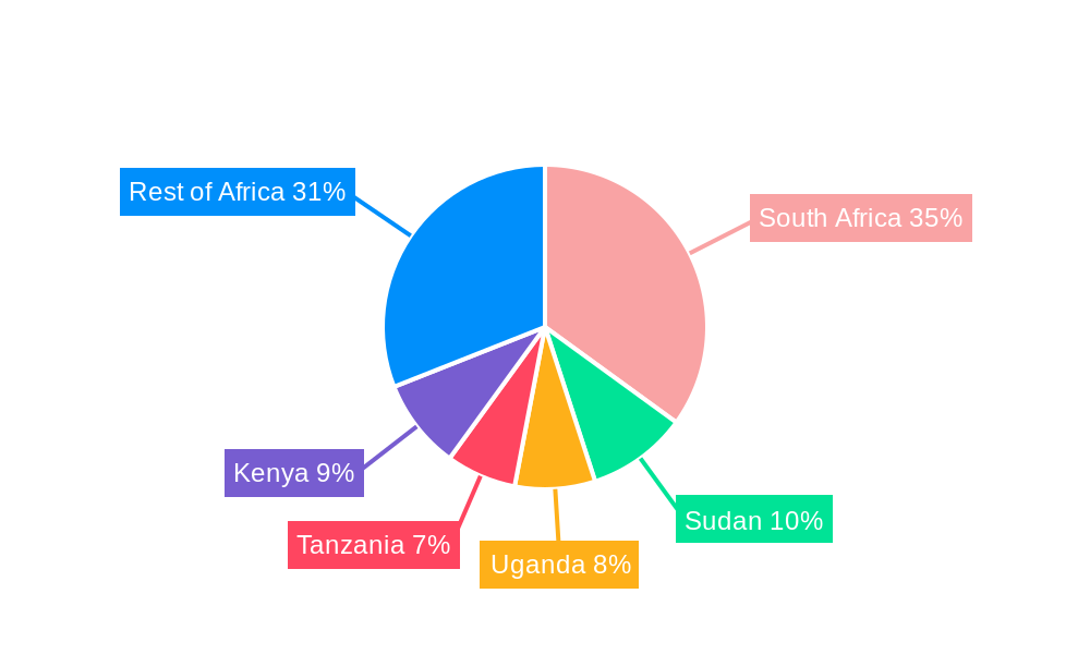 Textile Industry in Africa Market Share by Region - Global Geographic Distribution