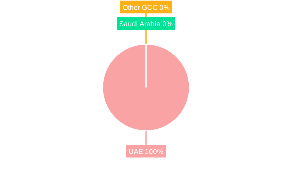 UAE Ophthalmic Diagnostic Equipment Industry Market Share by Region - Global Geographic Distribution